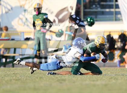 Thumbnail 1 in Norview @ Great Bridge photogallery.