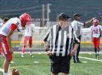 Photo from the gallery "Logan @ Questa"
