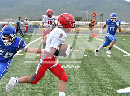 Thumbnail 3 in Logan @ Questa photogallery.