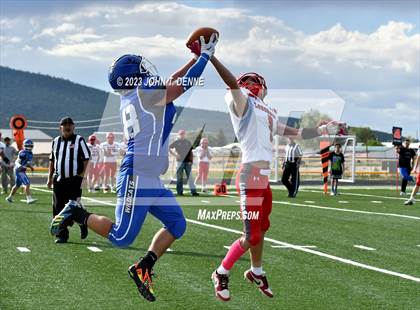 Thumbnail 2 in Logan @ Questa photogallery.