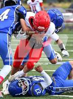 Photo from the gallery "Logan @ Questa"