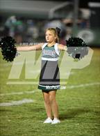 Photo from the gallery "Canadian @ Gore"
