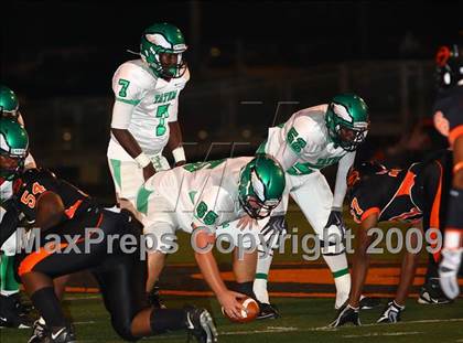 Thumbnail 3 in Tatum @ Gilmer photogallery.
