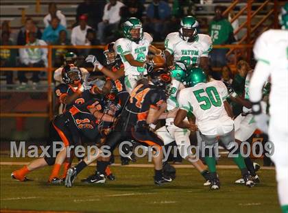 Thumbnail 1 in Tatum @ Gilmer photogallery.