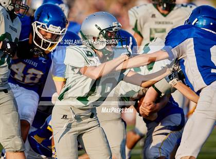 Thumbnail 3 in Ponderosa @ Del Campo photogallery.