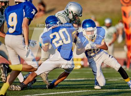 Thumbnail 3 in Ponderosa @ Del Campo photogallery.