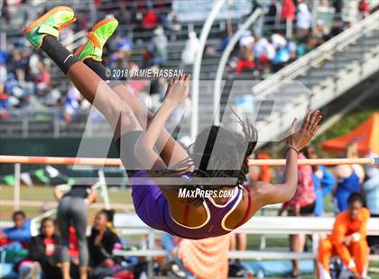 Thumbnail 3 in Bob Jenkins SCTCCCA Coaches Classic (Triple Jump, High Jump & Polevault) photogallery.