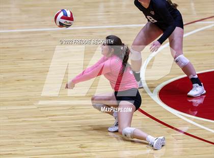 Thumbnail 1 in Bushland vs. East Bernard (UIL 3A Semifinal) photogallery.