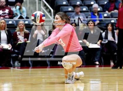 Thumbnail 1 in Bushland vs. East Bernard (UIL 3A Semifinal) photogallery.