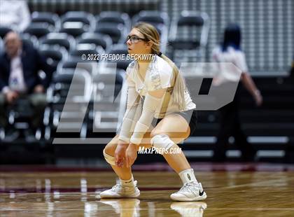 Thumbnail 2 in Bushland vs. East Bernard (UIL 3A Semifinal) photogallery.