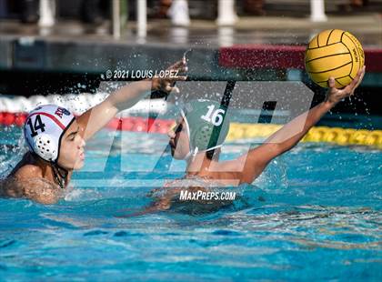 Thumbnail 1 in Ayala @ Bonita photogallery.