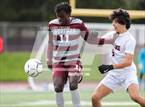 Photo from the gallery "Clarence @ Aquinas Institute"
