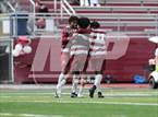 Photo from the gallery "Clarence @ Aquinas Institute"