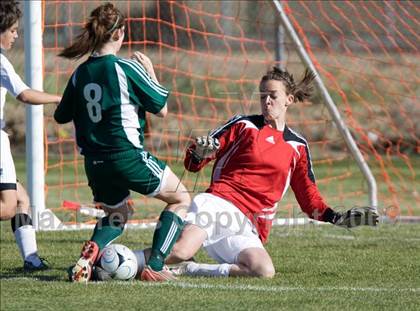 Thumbnail 2 in Davis @ Johansen photogallery.