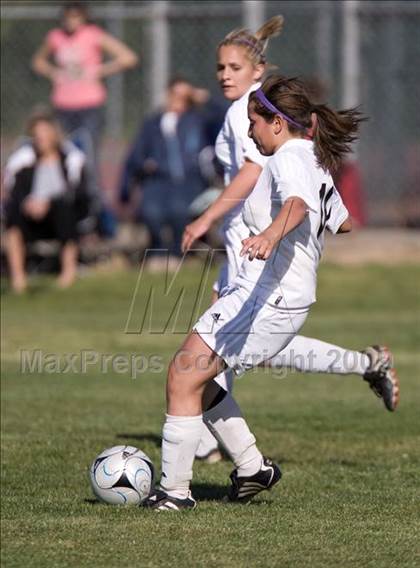 Thumbnail 1 in Davis @ Johansen photogallery.