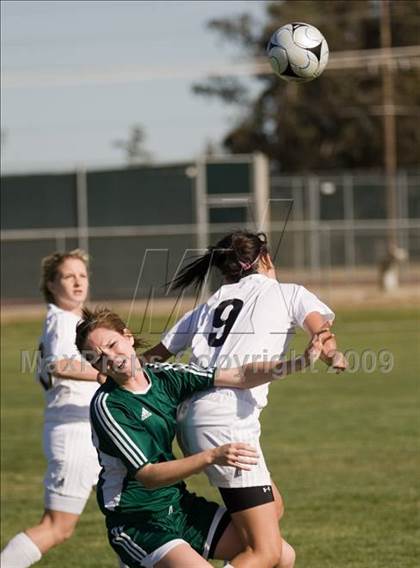 Thumbnail 3 in Davis @ Johansen photogallery.