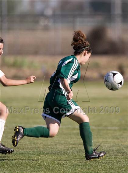 Thumbnail 3 in Davis @ Johansen photogallery.