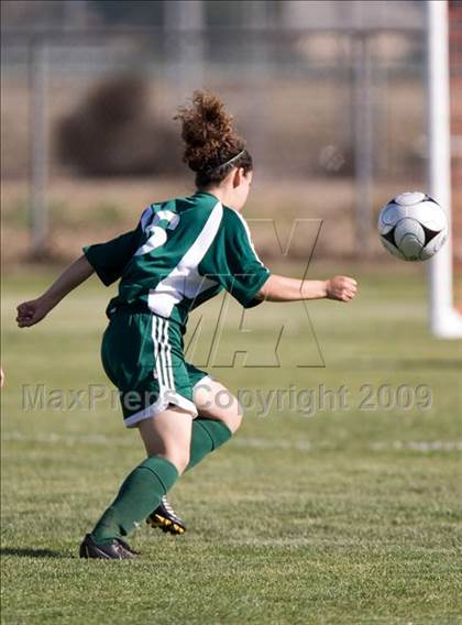 Thumbnail 1 in Davis @ Johansen photogallery.
