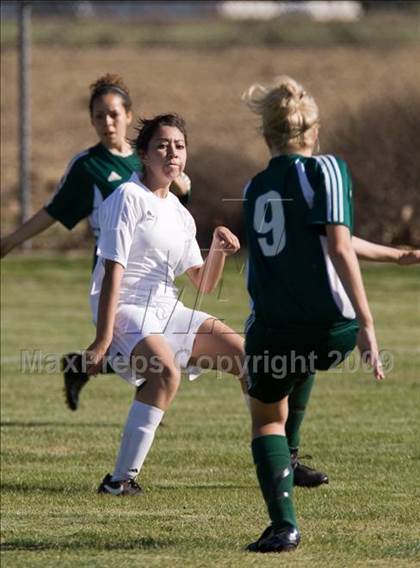 Thumbnail 1 in Davis @ Johansen photogallery.