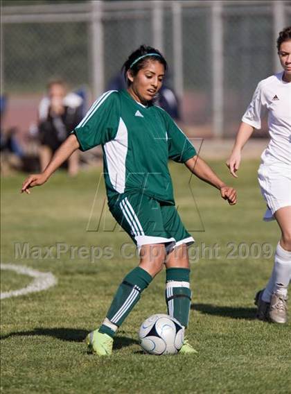 Thumbnail 1 in Davis @ Johansen photogallery.