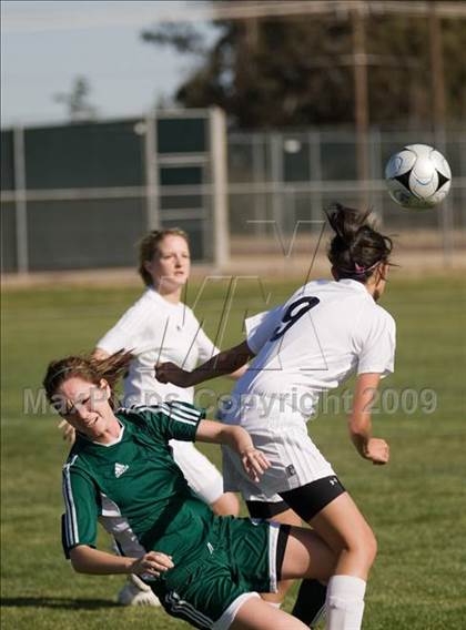 Thumbnail 1 in Davis @ Johansen photogallery.