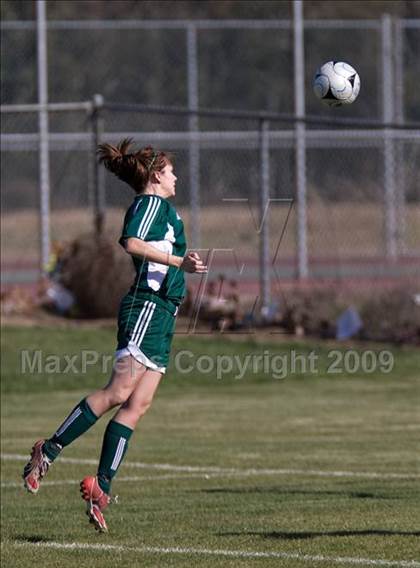 Thumbnail 2 in Davis @ Johansen photogallery.