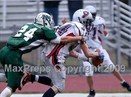 Thumbnail 3 in New Fairfield @ New Milford photogallery.