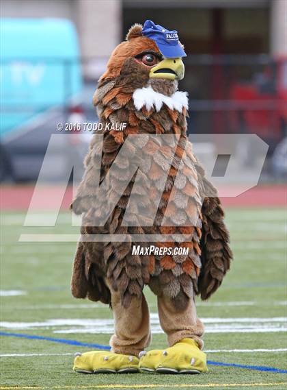Thumbnail 3 in Bridgeport Central @ Ludlowe photogallery.