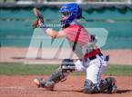 Photo from the gallery "American Leadership Academy - West Foothills @ Phoenix Christian"