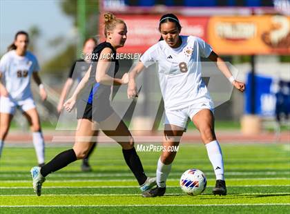 Thumbnail 3 in Salpointe Catholic vs Prescott (AIA 4A Final) photogallery.