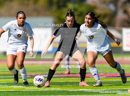 Thumbnail 3 in Salpointe Catholic vs Prescott (AIA 4A Final) photogallery.