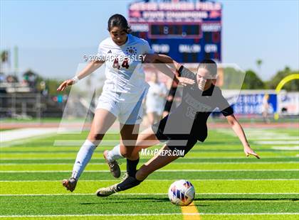 Thumbnail 2 in Salpointe Catholic vs Prescott (AIA 4A Final) photogallery.