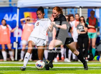 Thumbnail 2 in Salpointe Catholic vs Prescott (AIA 4A Final) photogallery.