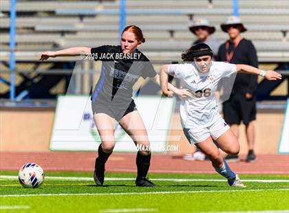 Thumbnail 2 in Salpointe Catholic vs Prescott (AIA 4A Final) photogallery.