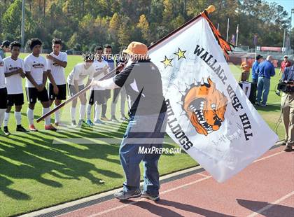 Thumbnail 1 in Wallace-Rose Hill vs. Bishop McGuinness (NCHSAA 1A Final) photogallery.