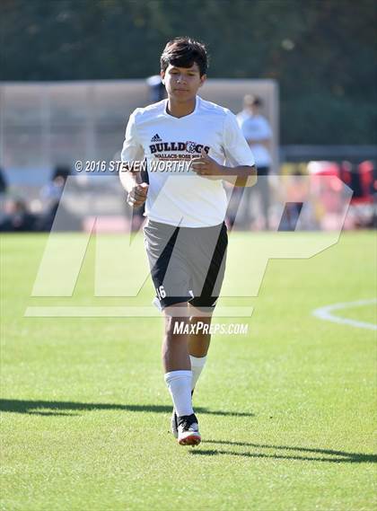 Thumbnail 1 in Wallace-Rose Hill vs. Bishop McGuinness (NCHSAA 1A Final) photogallery.