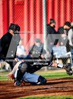 Photo from the gallery "Sheldon @ Laguna Creek"