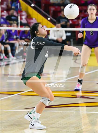 Thumbnail 3 in Sunnyslope vs. Millennium (AIA 5A Final)  photogallery.