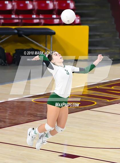Thumbnail 1 in Sunnyslope vs. Millennium (AIA 5A Final)  photogallery.
