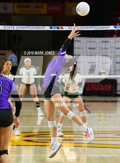 Thumbnail 1 in Sunnyslope vs. Millennium (AIA 5A Final)  photogallery.