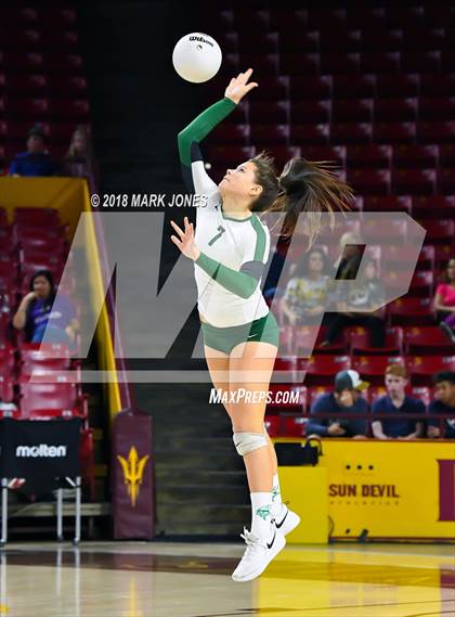 Thumbnail 1 in Sunnyslope vs. Millennium (AIA 5A Final)  photogallery.