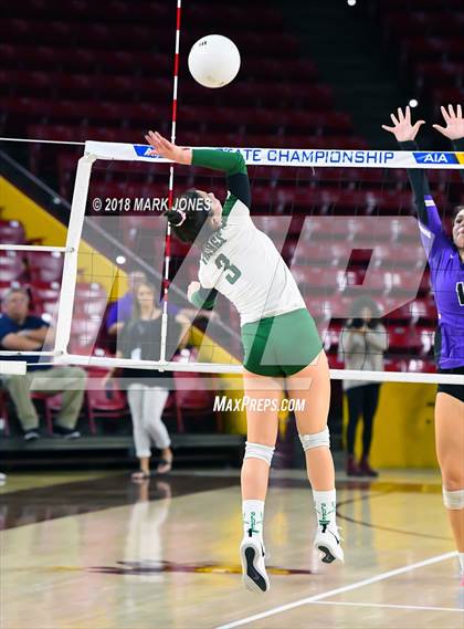 Thumbnail 1 in Sunnyslope vs. Millennium (AIA 5A Final)  photogallery.