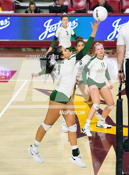 Thumbnail 1 in Sunnyslope vs. Millennium (AIA 5A Final)  photogallery.