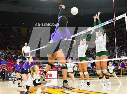 Thumbnail 1 in Sunnyslope vs. Millennium (AIA 5A Final)  photogallery.