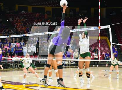 Thumbnail 2 in Sunnyslope vs. Millennium (AIA 5A Final)  photogallery.