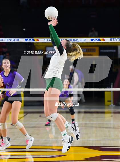 Thumbnail 1 in Sunnyslope vs. Millennium (AIA 5A Final)  photogallery.