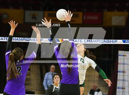 Thumbnail 2 in Sunnyslope vs. Millennium (AIA 5A Final)  photogallery.