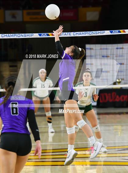 Thumbnail 3 in Sunnyslope vs. Millennium (AIA 5A Final)  photogallery.