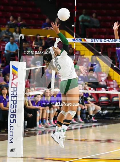 Thumbnail 3 in Sunnyslope vs. Millennium (AIA 5A Final)  photogallery.