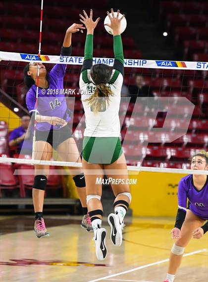 Thumbnail 1 in Sunnyslope vs. Millennium (AIA 5A Final)  photogallery.